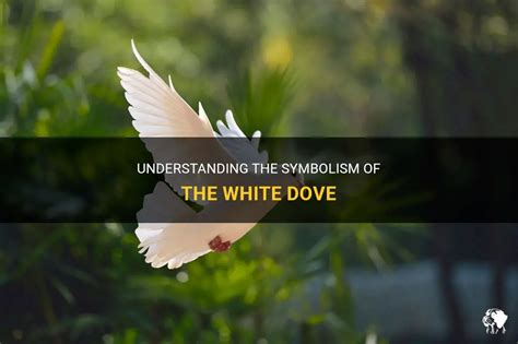 What Does The White Dove Mean On 'The 